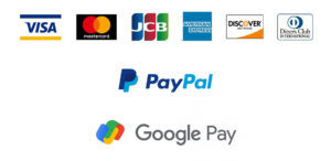 Credit Card Network logos including visa, mastercard, JCB, american express and more