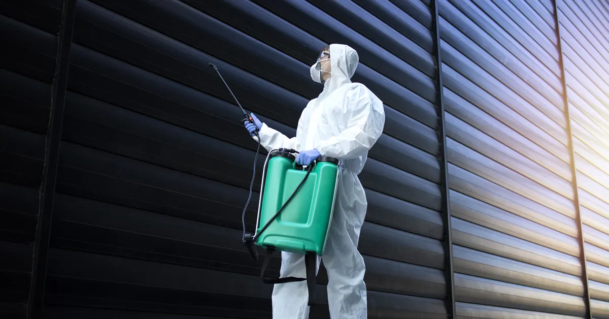 Pest Control Management in Hospitality: Ensuring Operational Integrity and Guest Satisfaction
