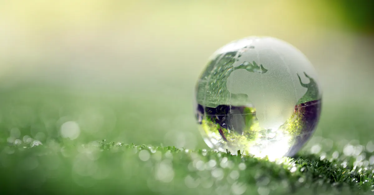 Green Hotels: Marketing Gimmick or a Reality?